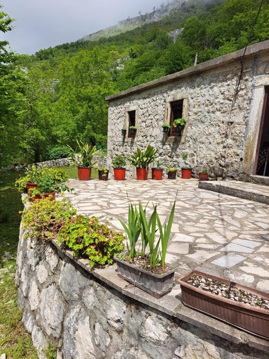 Nature Escape Montenegro Котор Екстериор снимка