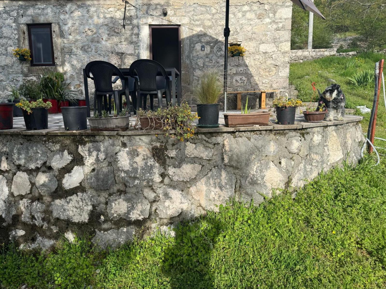 Nature Escape Montenegro Котор Екстериор снимка