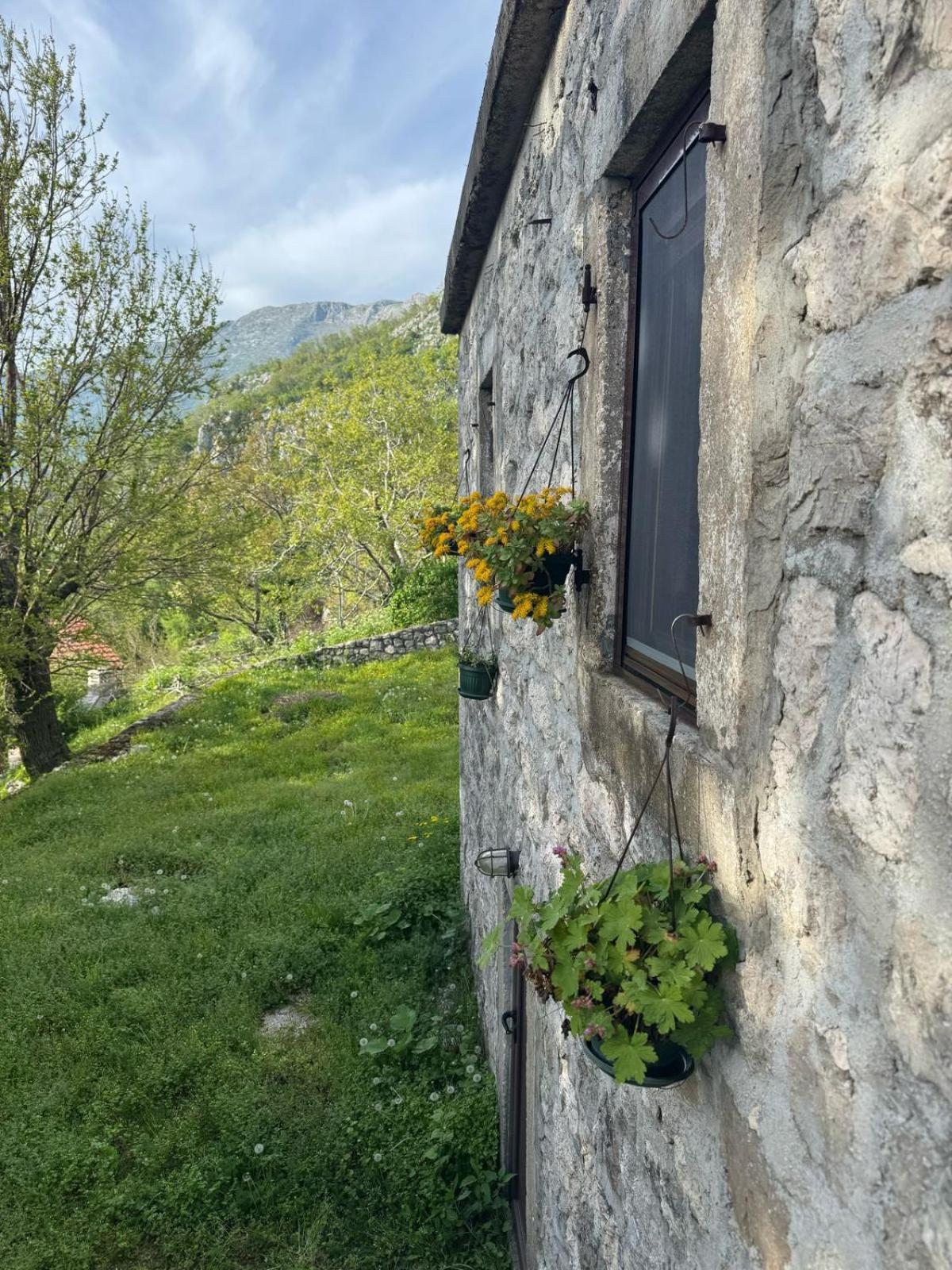 Nature Escape Montenegro Котор Екстериор снимка
